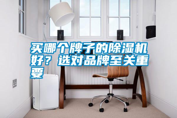 買哪個(gè)牌子的除濕機(jī)好？選對(duì)品牌至關(guān)重要