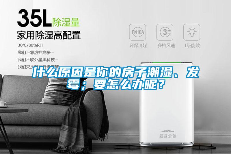 什么原因是你的房子潮濕、發霉；要怎么辦呢？