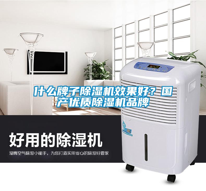 什么牌子除濕機效果好？國產(chǎn)優(yōu)質除濕機品牌