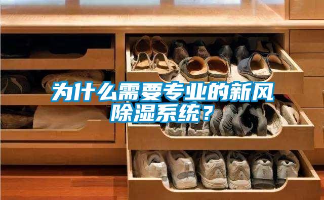 為什么需要專業(yè)的新風除濕系統(tǒng)？