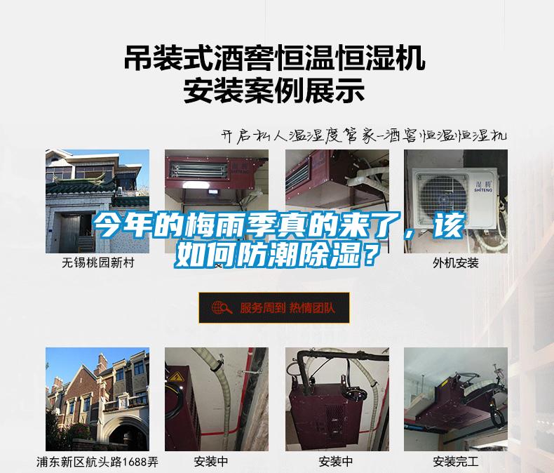 今年的梅雨季真的來了，該如何防潮除濕？