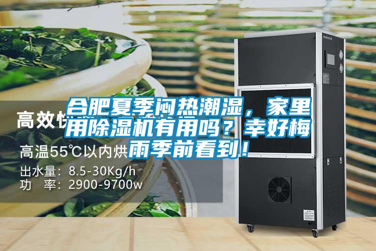 合肥夏季悶熱潮濕，家里用除濕機有用嗎？幸好梅雨季前看到！