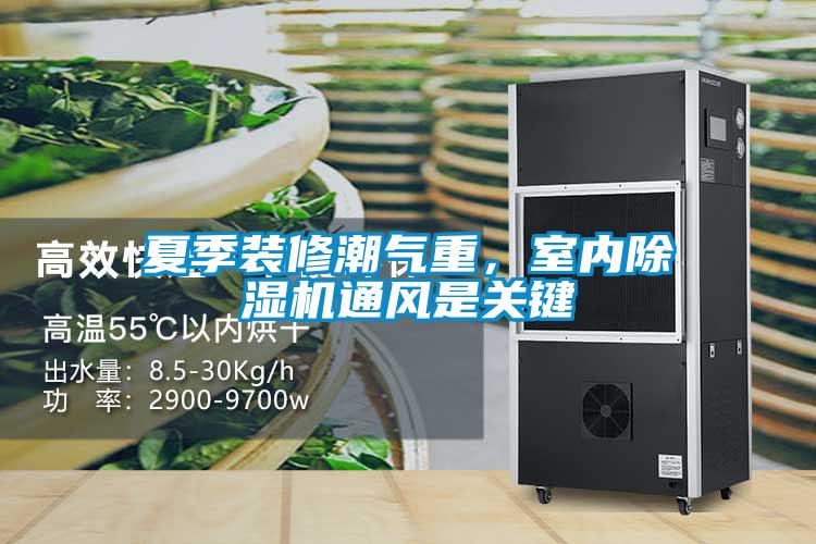 夏季裝修潮氣重，室內除濕機通風是關鍵