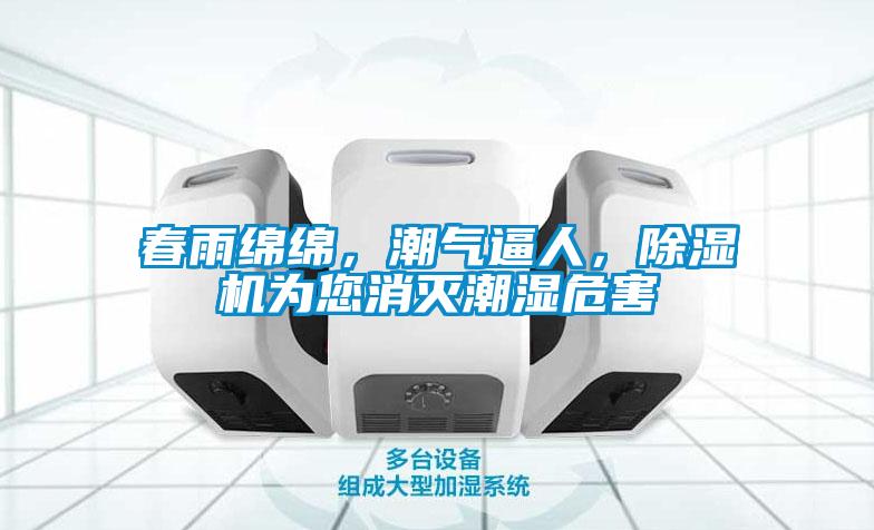 春雨綿綿，潮氣逼人，除濕機為您消滅潮濕危害