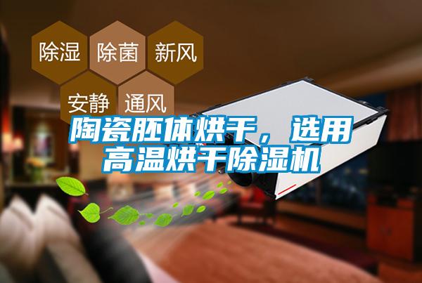 陶瓷胚體烘干，選用高溫烘干除濕機