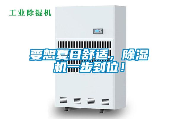 要想夏日舒適，除濕機一步到位！