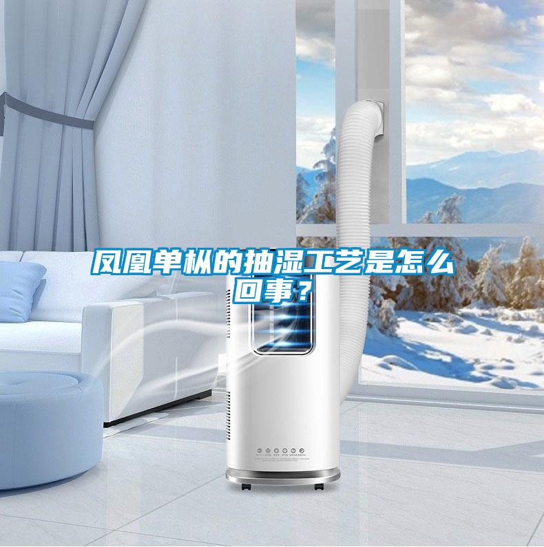 鳳凰單樅的抽濕工藝是怎么回事？