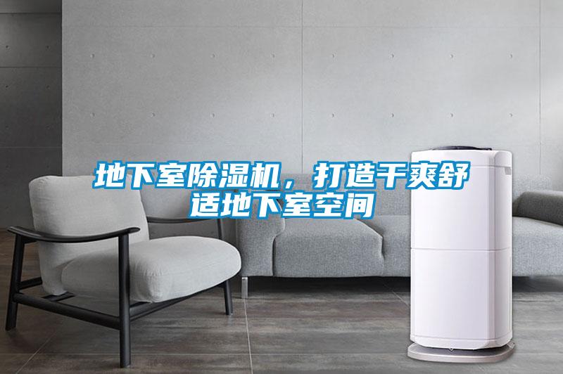 地下室除濕機，打造干爽舒適地下室空間