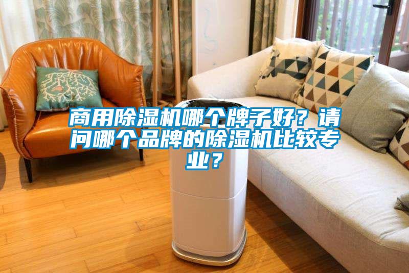 商用除濕機(jī)哪個(gè)牌子好？請問哪個(gè)品牌的除濕機(jī)比較專業(yè)？