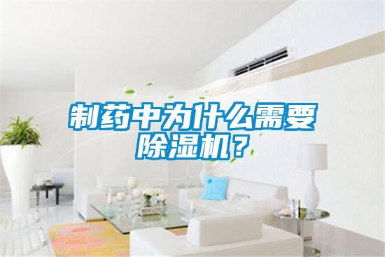 制藥中為什么需要除濕機(jī)？