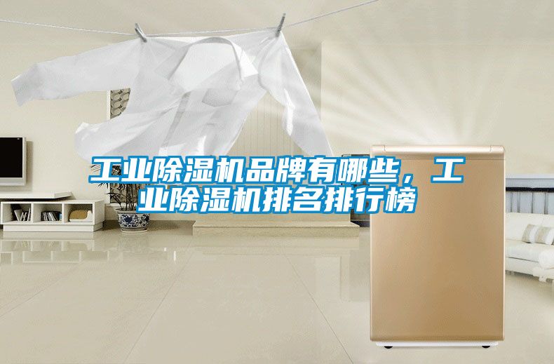 工業除濕機品牌有哪些，工業除濕機排名排行榜