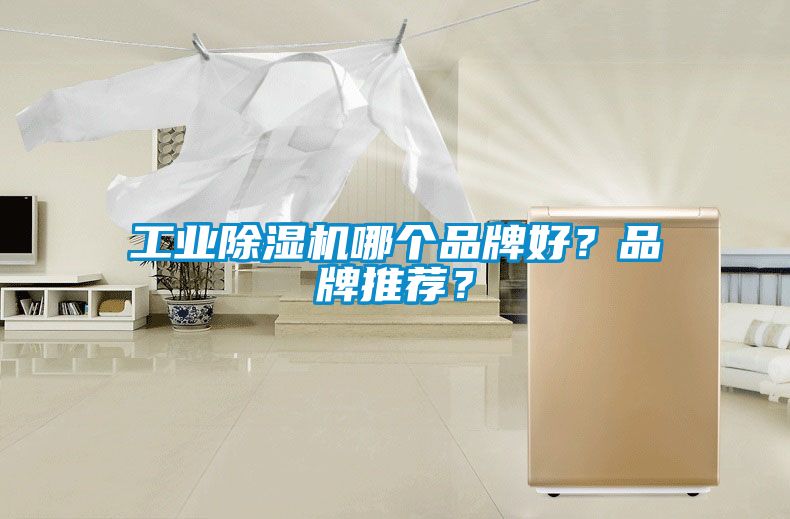 工業(yè)除濕機(jī)哪個品牌好？品牌推薦？
