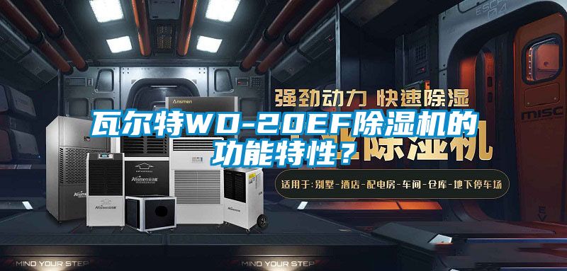 瓦爾特WD-20EF除濕機的功能特性？