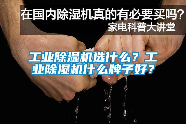 工業除濕機選什么？工業除濕機什么牌子好？