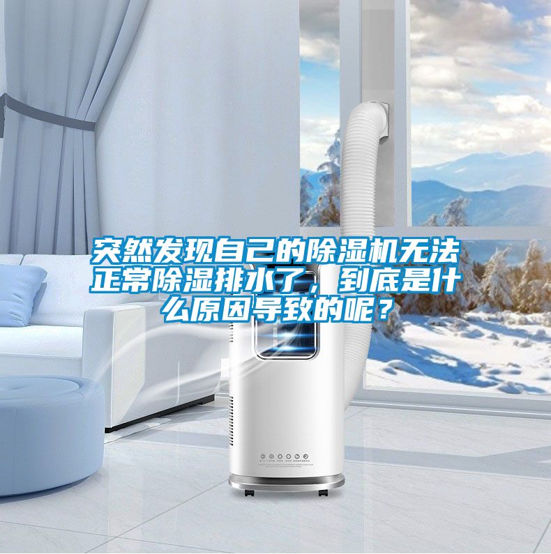 突然發現自己的除濕機無法正常除濕排水了，到底是什么原因導致的呢？