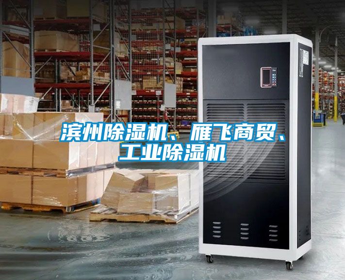 濱州除濕機(jī)、雁飛商貿(mào)、工業(yè)除濕機(jī)