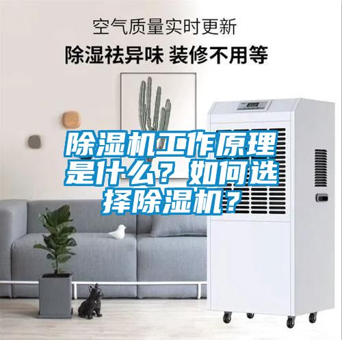 除濕機工作原理是什么？如何選擇除濕機？