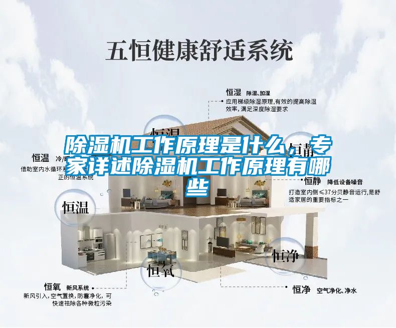 除濕機工作原理是什么，專家詳述除濕機工作原理有哪些