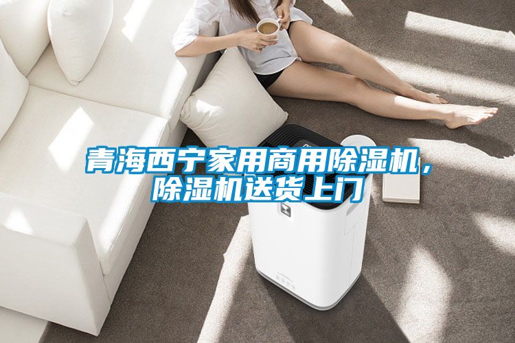 青海西寧家用商用除濕機，除濕機送貨上門