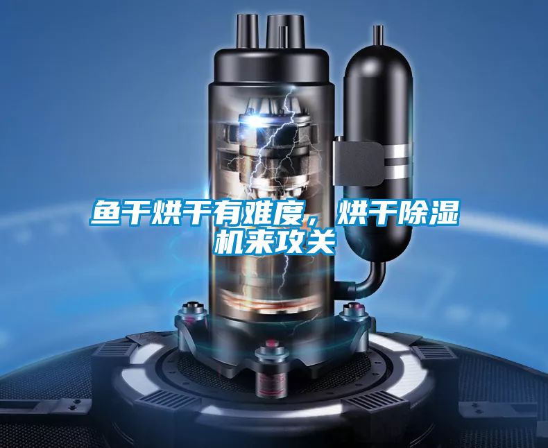魚干烘干有難度，烘干除濕機來攻關