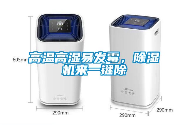 高溫高濕易發霉，除濕機來一鍵除
