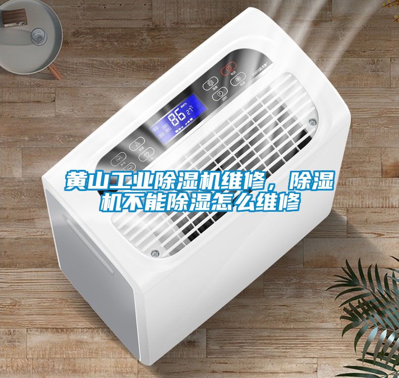 黃山工業(yè)除濕機(jī)維修，除濕機(jī)不能除濕怎么維修